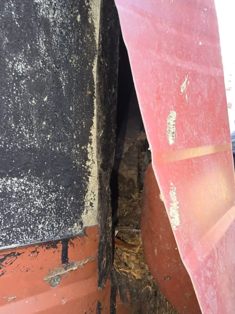 Gniazdo szkodników w dachu