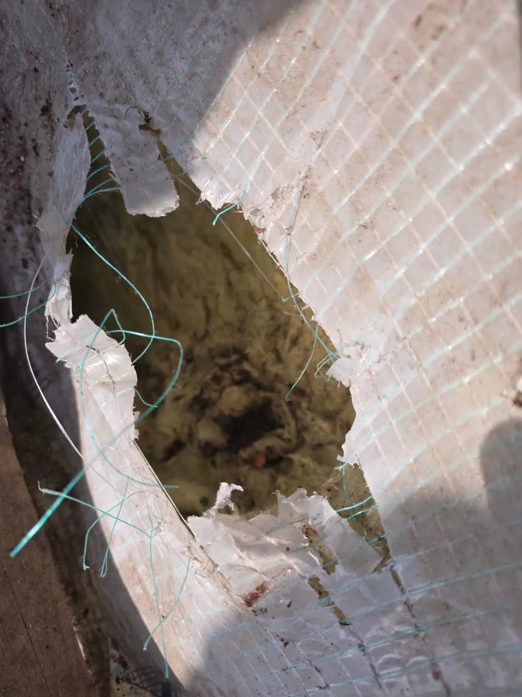 Uszkodzenie dachu przez kuny