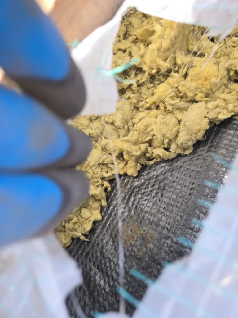 Uszkodzenie dachu przez szkodniki takie jak kuny lub szopy