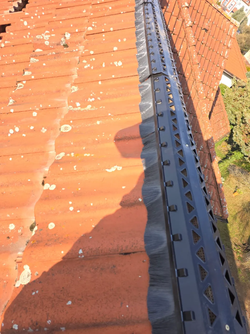 Zabezpieczanie dachu przed kunami i szopami (11)