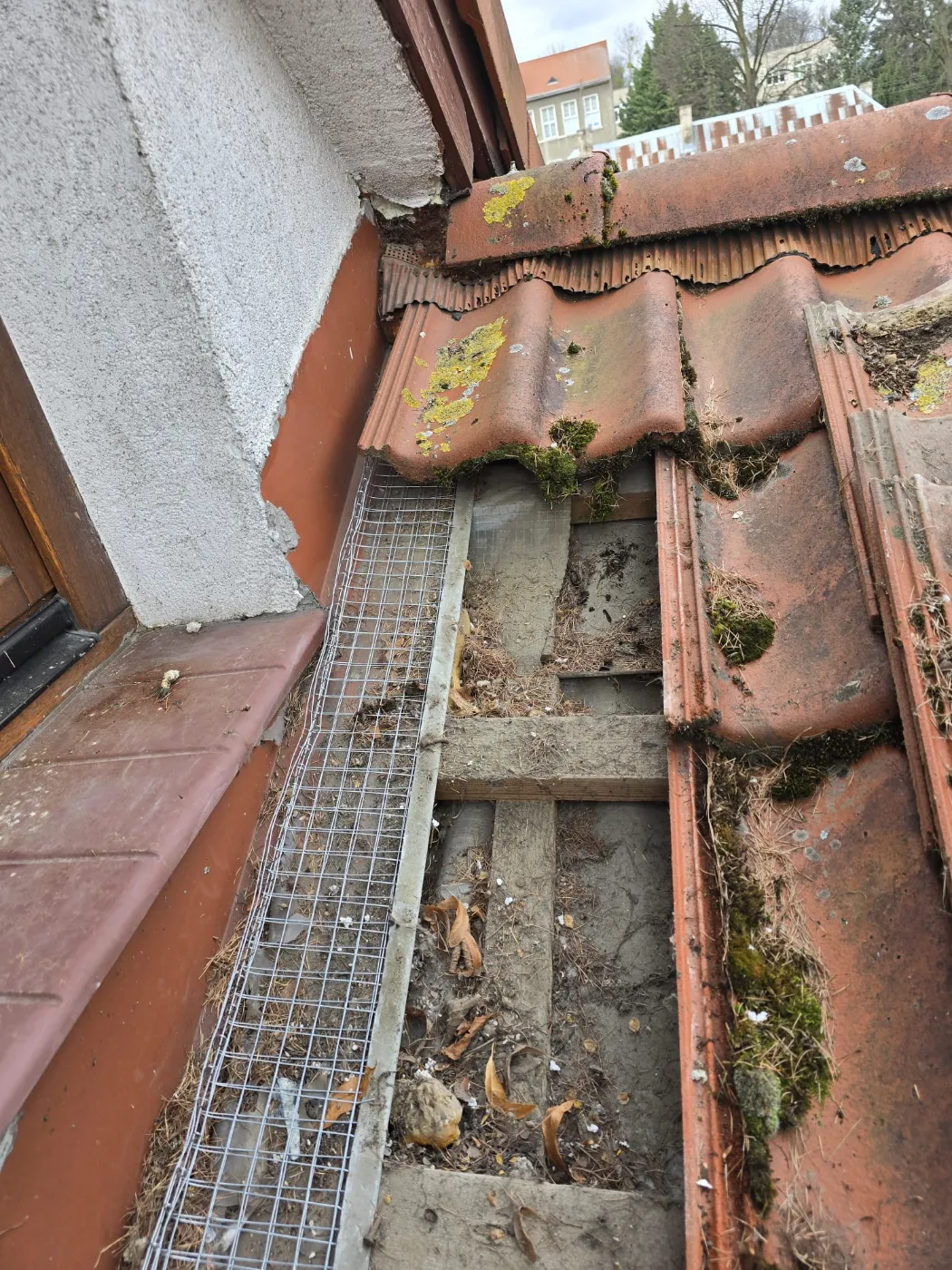 Zabezpieczanie dachu przed kunami i szopami (12)