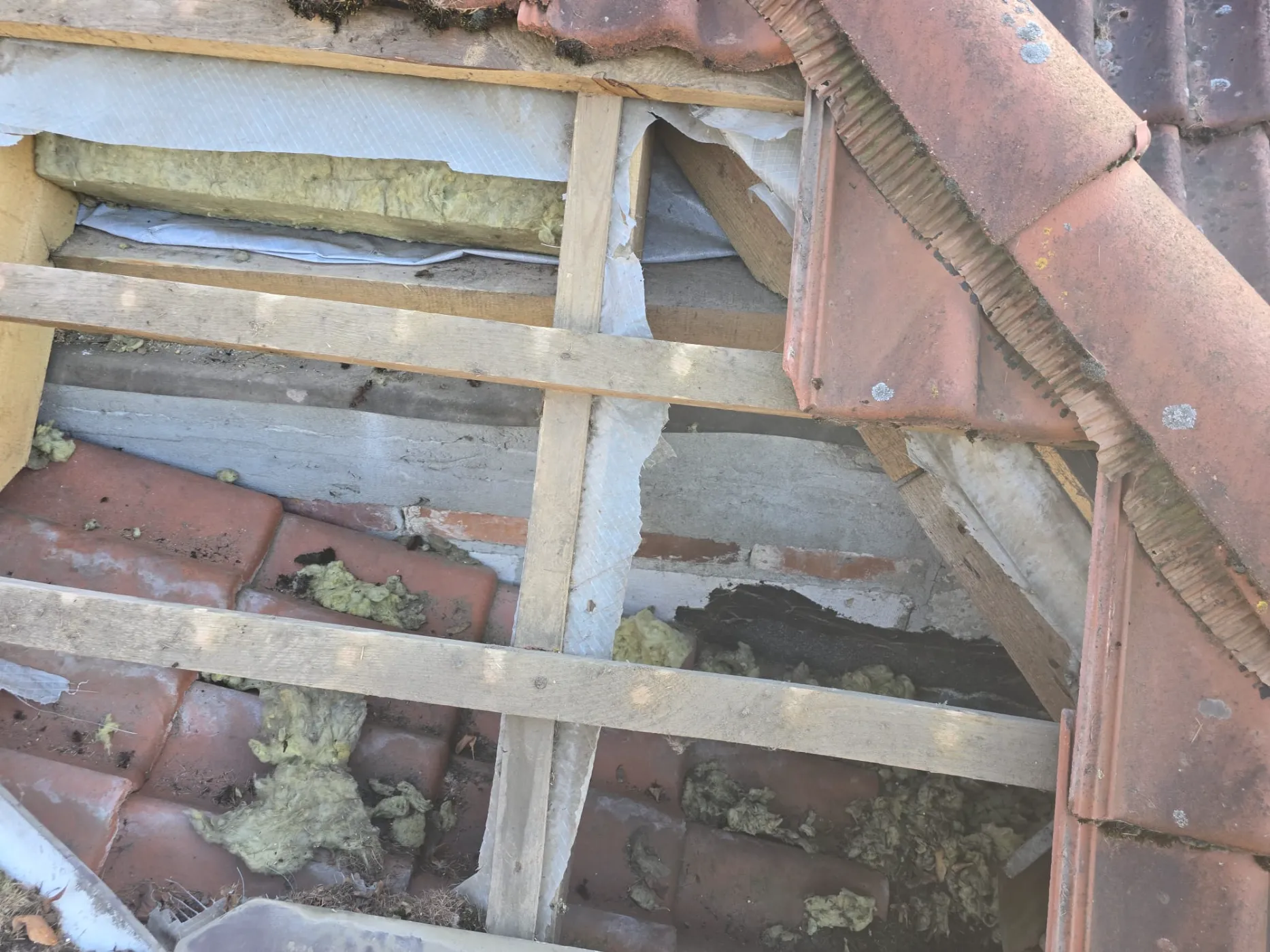 Zabezpieczanie dachu przed kunami i szopami (14)