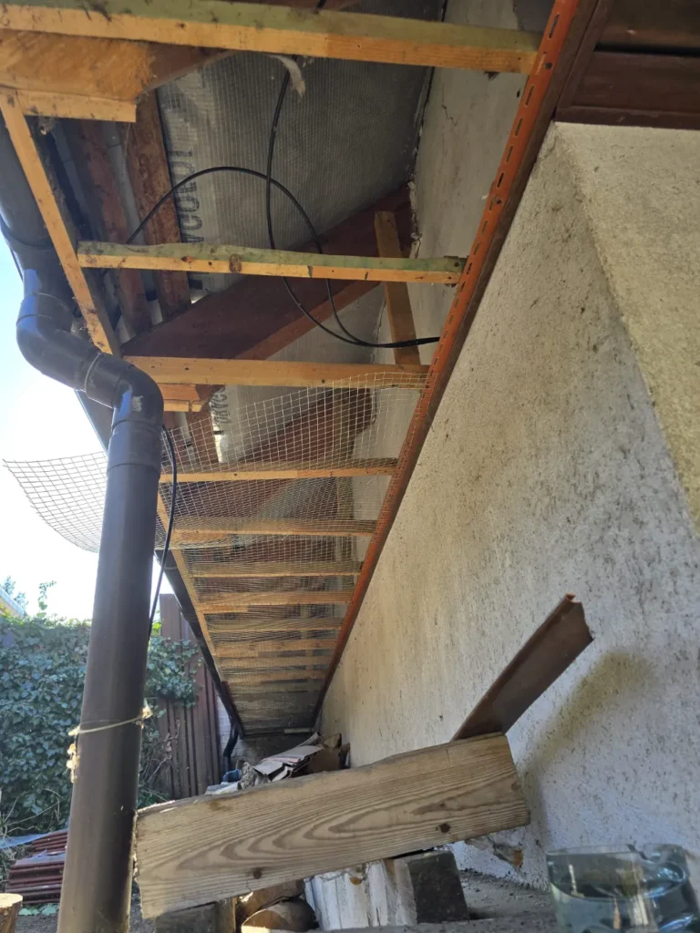 Zabezpieczanie dachu przed kunami i szopami (2)