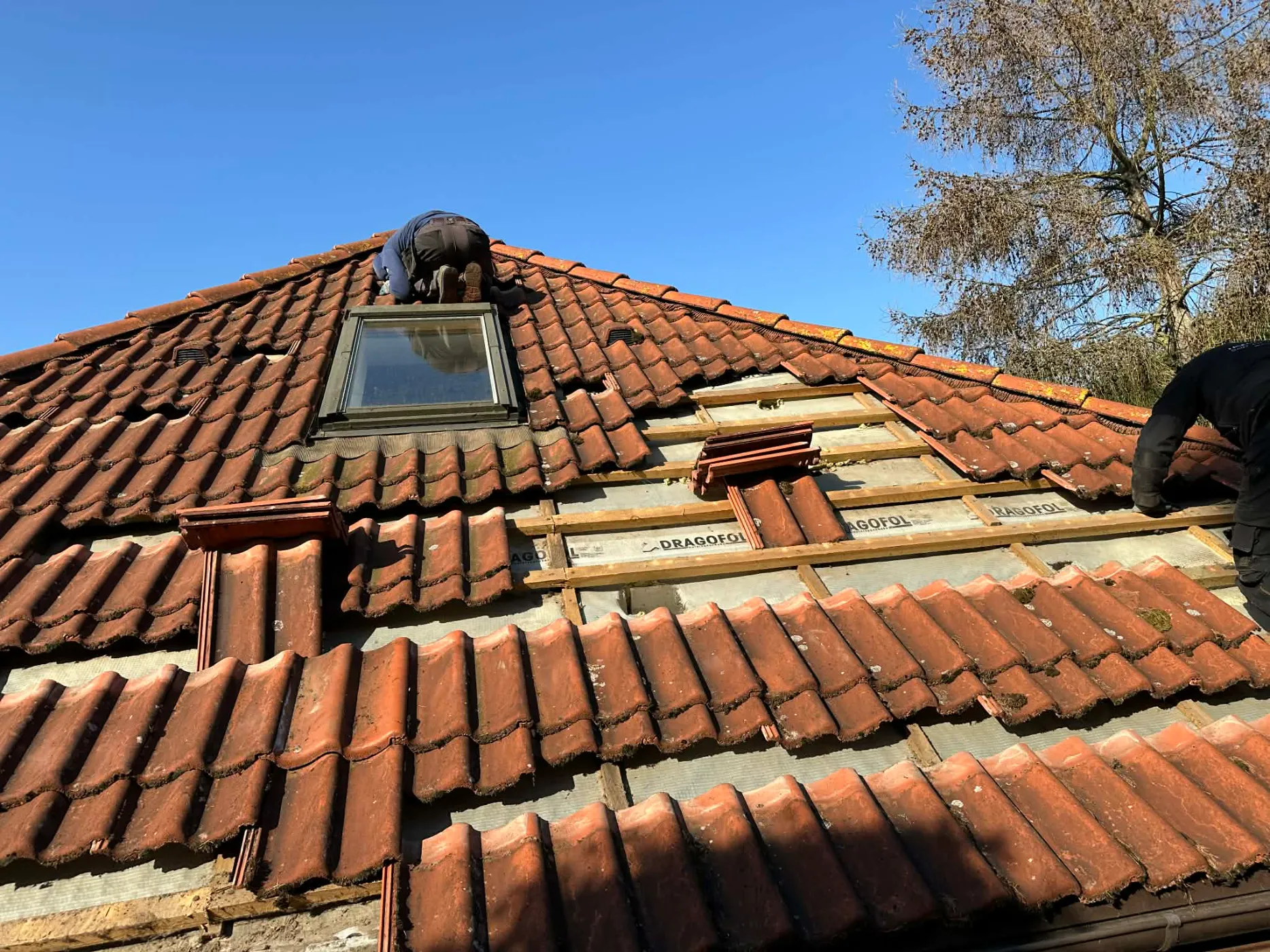 Zabezpieczanie dachu przed kunami i szopami (27)