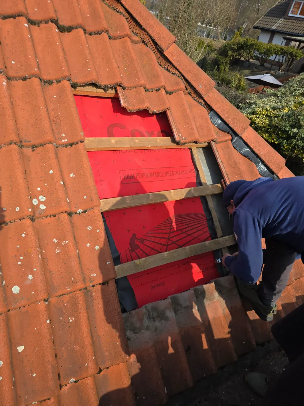 naprawa dachu uszkodzonego przez szkodniki