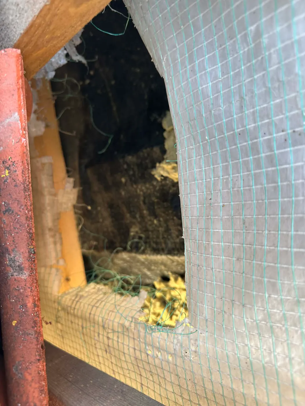 uszkodzony dach przez szkodniki (3)